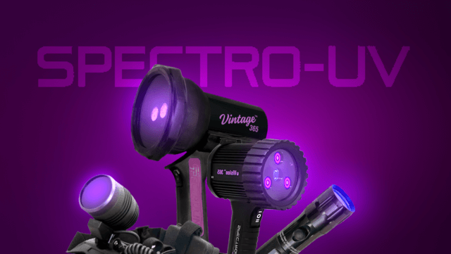 HEADER Luz UV de Alta Calidad con Grupo Testek y Spectro UV